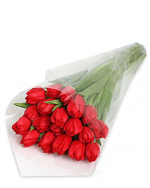 Букет из девятнадцати красных тюльпанов. Оформление - Прозрачная слюда