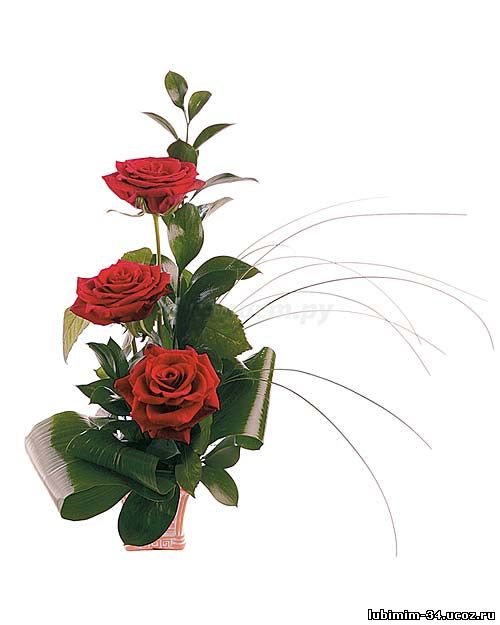 Букет из трех роз, оформлен зеленью (листья: берграса, салала, аспедистры)