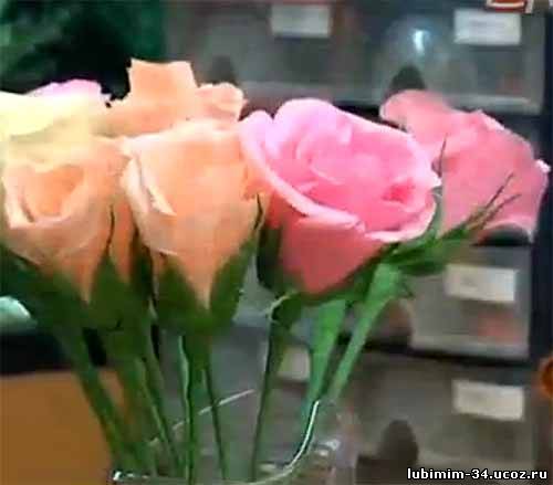 What do rose for bouquet from sweetmeats