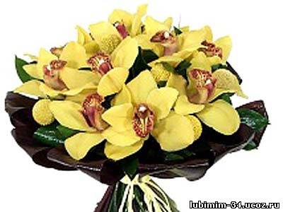 Lesson - What do orchid for bouquet from sweetmeats