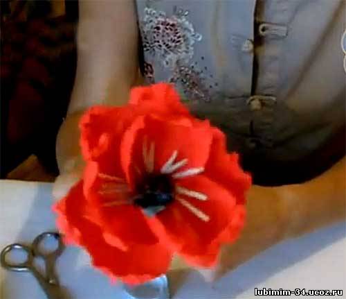 Video lesson - What do flower of the poppy for bouquet from sweetmeats